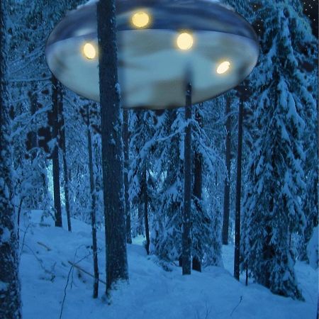 Treehotel Харадс Экстерьер фото