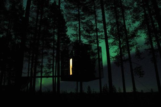 Treehotel Харадс Экстерьер фото
