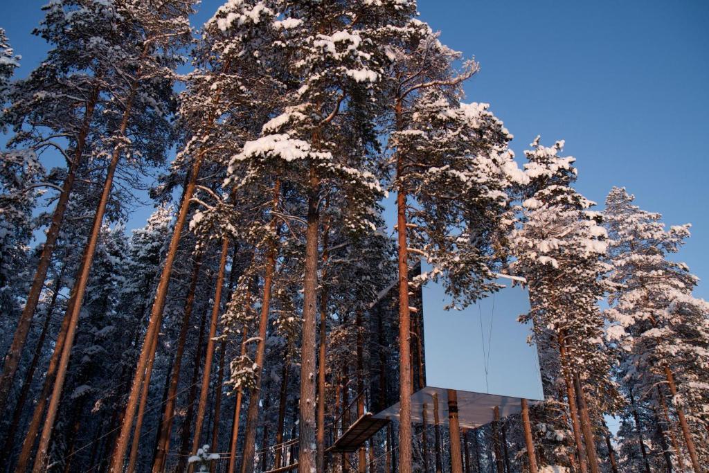 Treehotel Харадс Номер фото