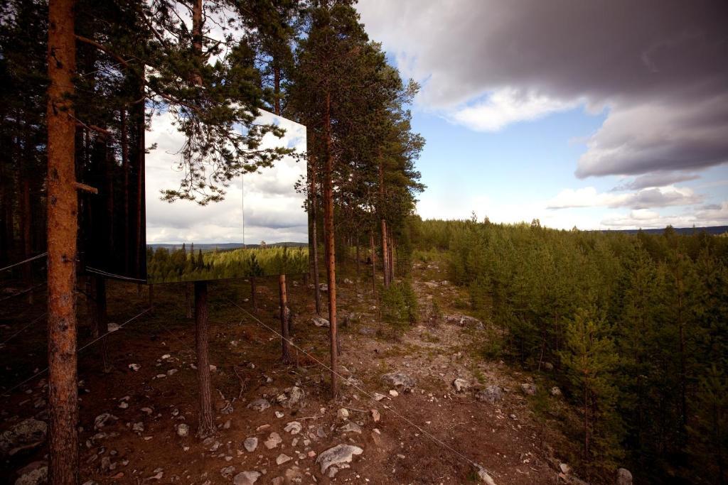 Treehotel Харадс Номер фото