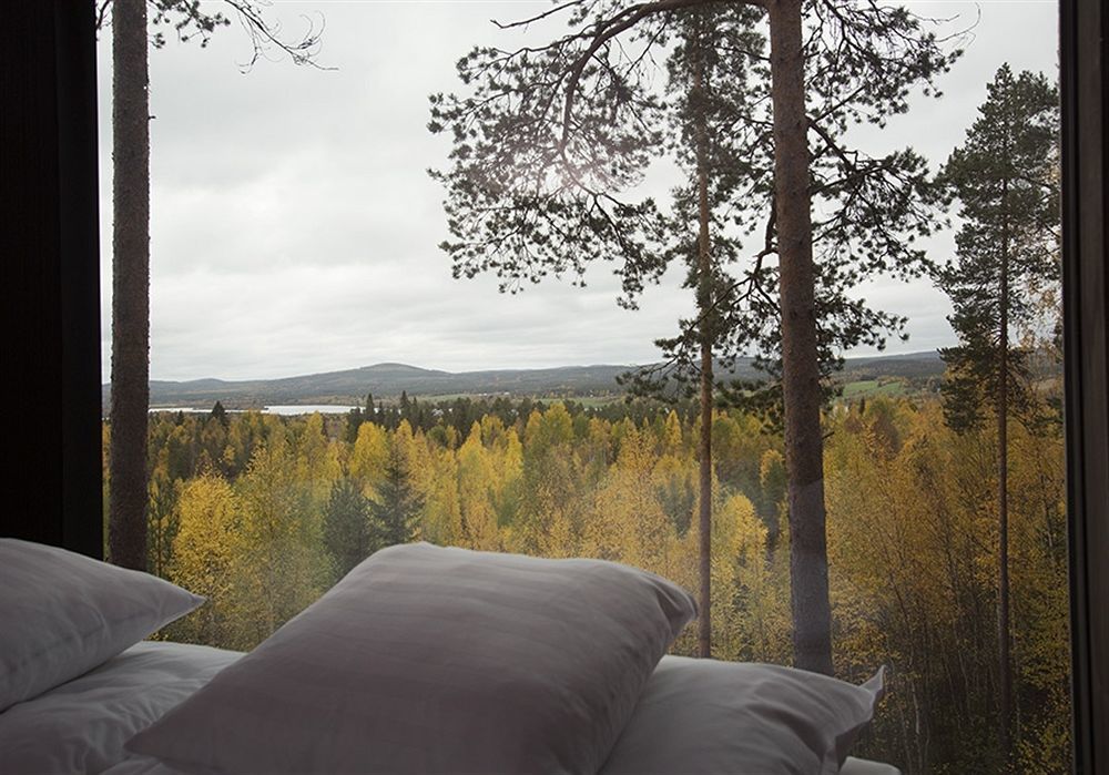Treehotel Харадс Экстерьер фото