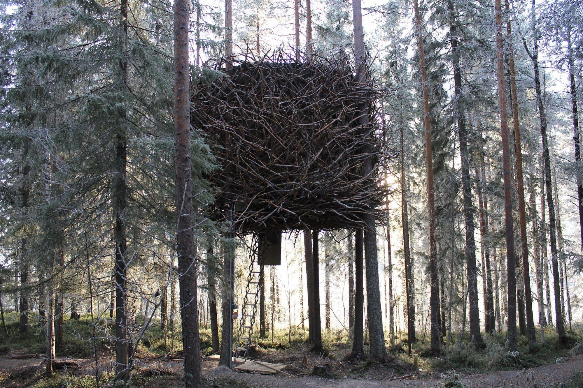 Treehotel Харадс Экстерьер фото